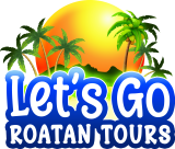 Cropped Logo Lets Go Roatan Tours Final Blue.png