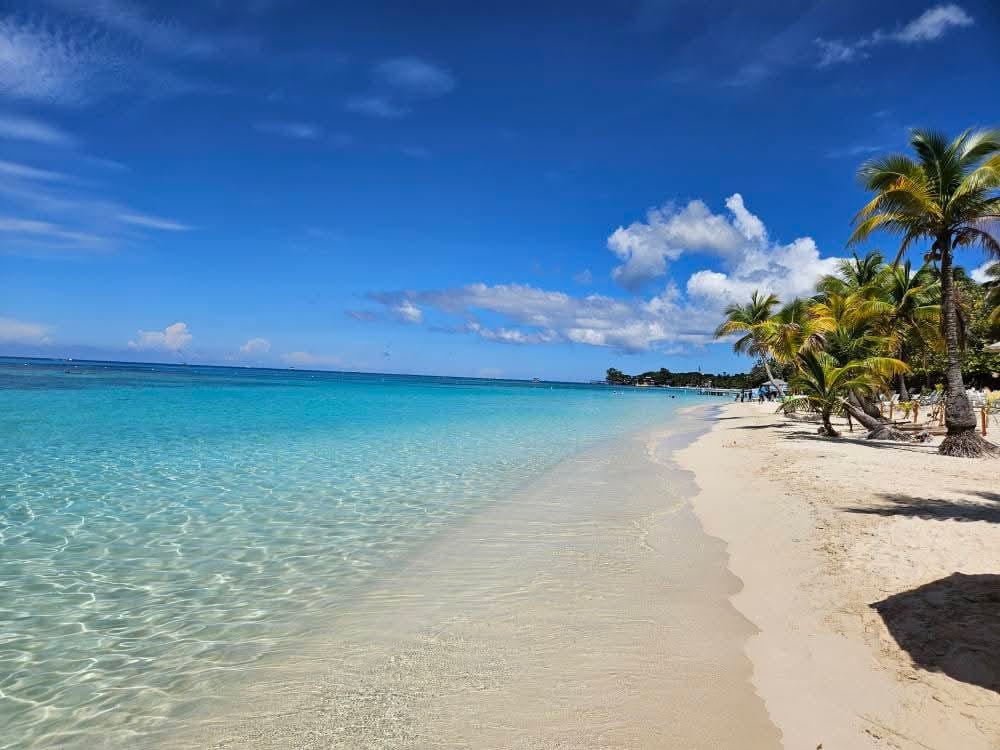 Slots Roatan Let's Go Roatan Tours | Sloths and island tour
